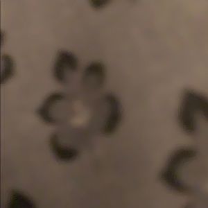 Meet your Posher, Caleeyah